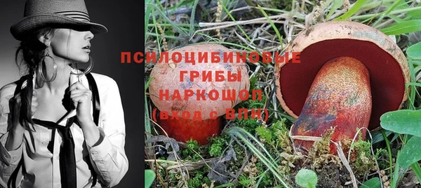 гидропоника Михайлов
