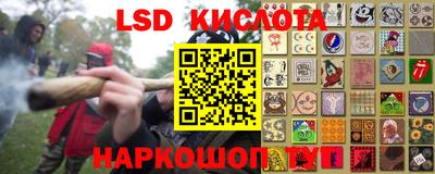 индика Гусиноозёрск