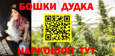 индика Гусиноозёрск