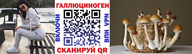 закладка  Заречный  Псилоцибиновые грибы мухоморы 