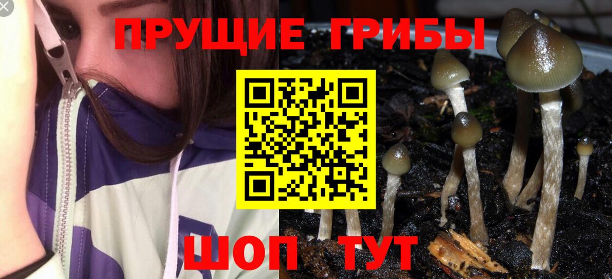 Псилоцибиновые грибы MAGIC MUSHROOMS Заречный