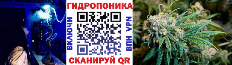 Бошки марихуана OG Kush  Заречный 